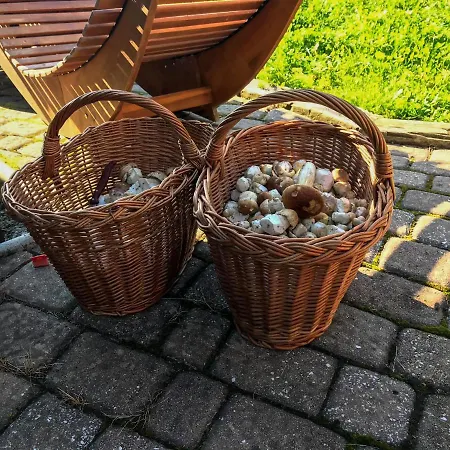 Dwarfs Overlooking Julian Alps Near Bled 度假居 *