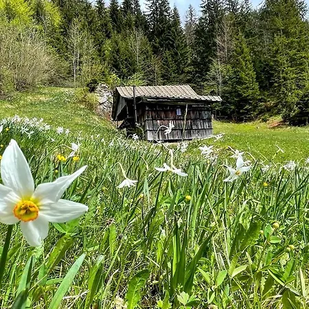 Dwarfs Overlooking Julian Alps Near Bled
