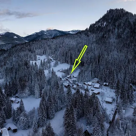 Dwarfs Overlooking Julian Alps Near Bled * 耶塞尼采