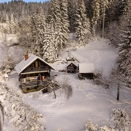 Dwarfs Overlooking Julian Alps Near Bled * 耶塞尼采