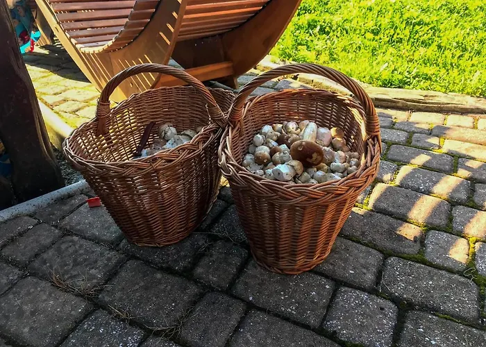 Dwarfs Overlooking Julian Alps Near Bled Tatil Evi *