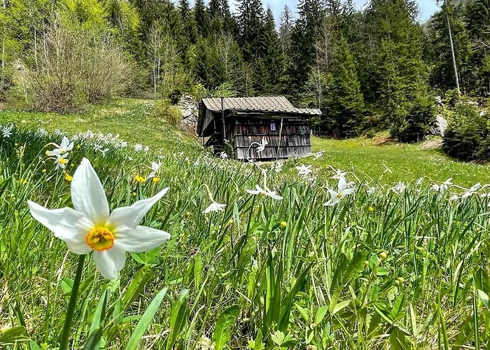 Dwarfs Overlooking Julian Alps Near Bled