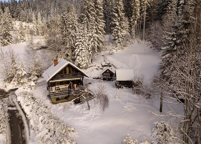 Dwarfs Overlooking Julian Alps Near Bled * Jesenice